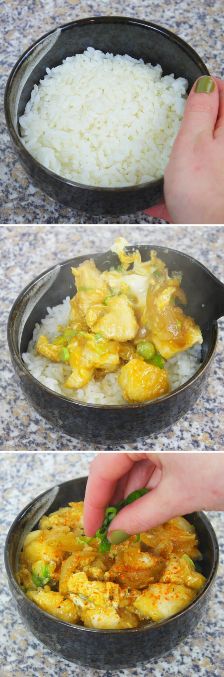 Oyakodon Rice Bowl mit Hähnchen &amp; Ei | REZEPT gelingt sicher!