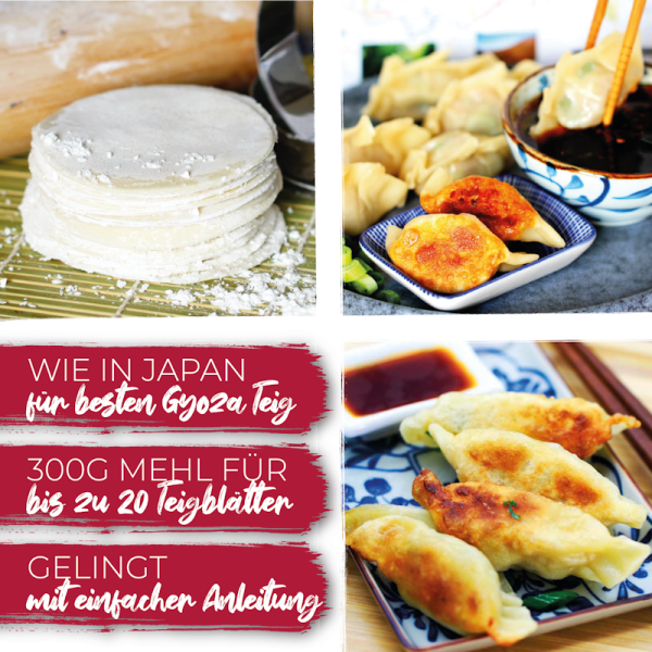 Gyoza Mehl