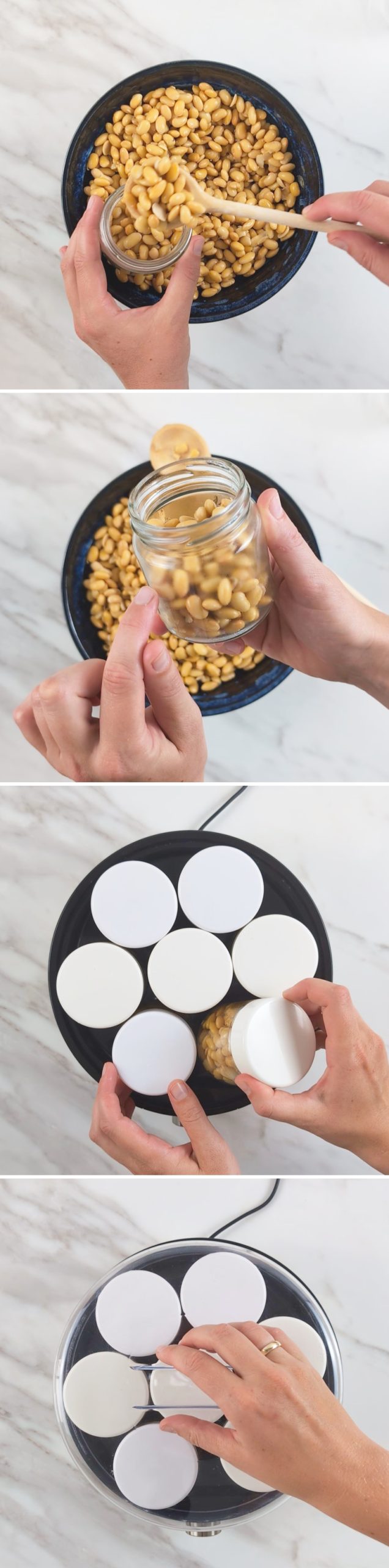 Natto selber machen Schritt 9 fermentieren lassen