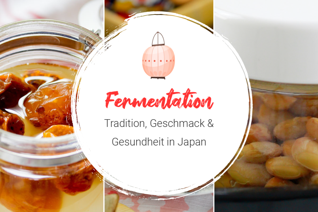 Fermentation Titelbild