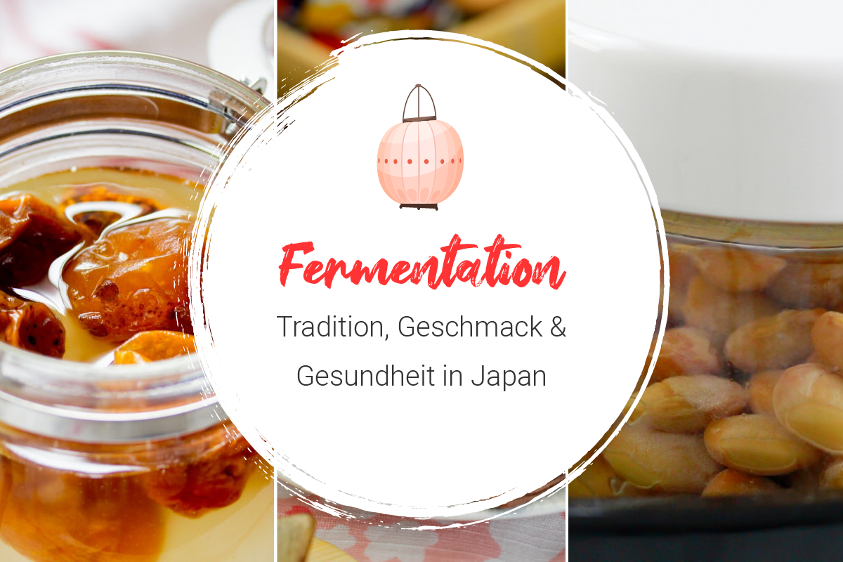 Fermentation Titelbild