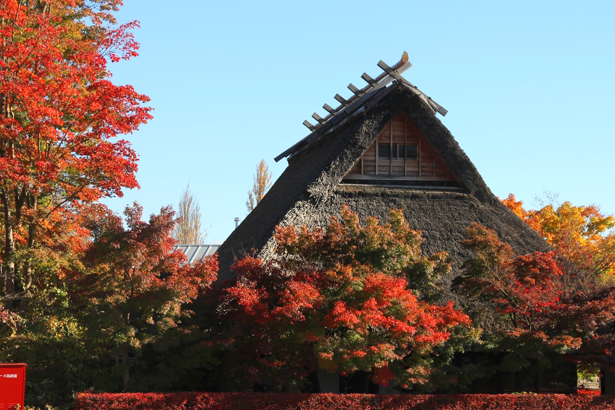 Japanischer Herbst 3